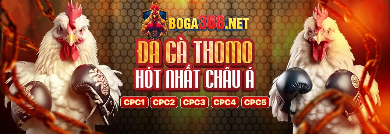 Hình ảnh đại diện Điều Khoản Dịch Vụ của g69 trang chủ